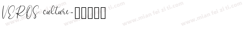 VEROS culture字体转换